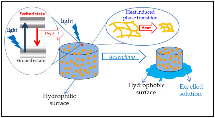 Scheme 5