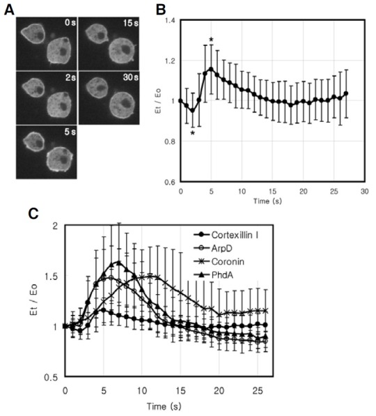 Fig. 3.