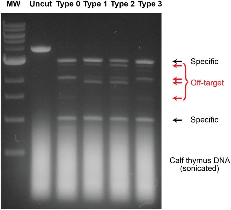 Fig. S5.