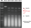 Fig. S5.