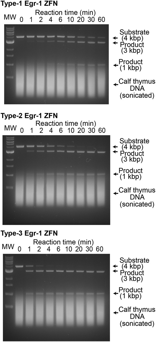 Fig. S4.