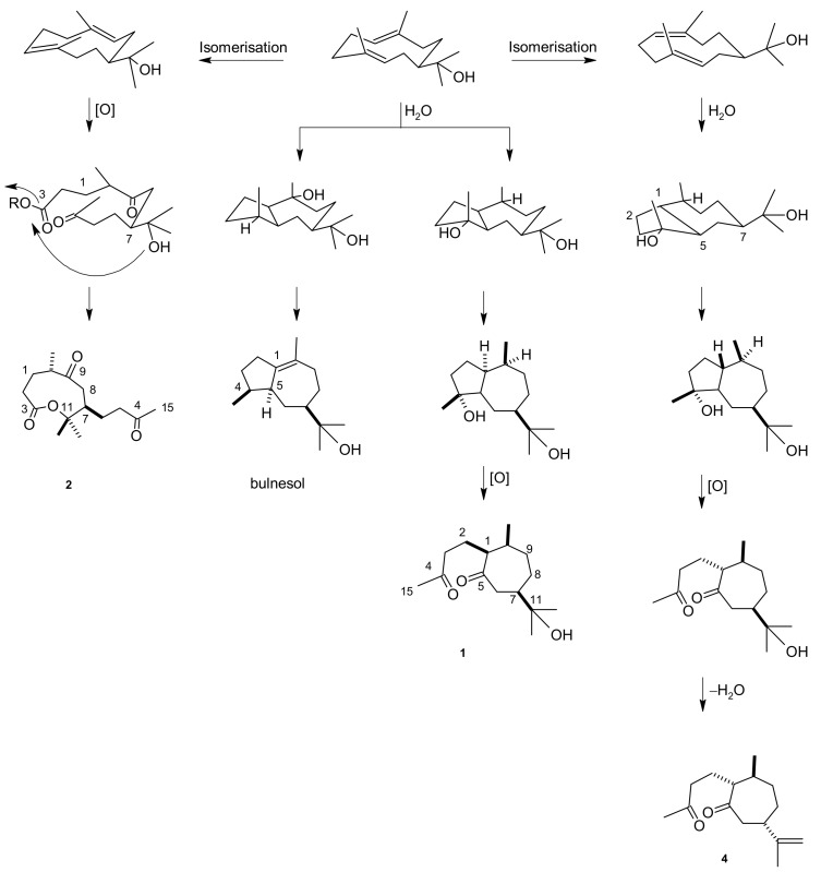 Scheme 1