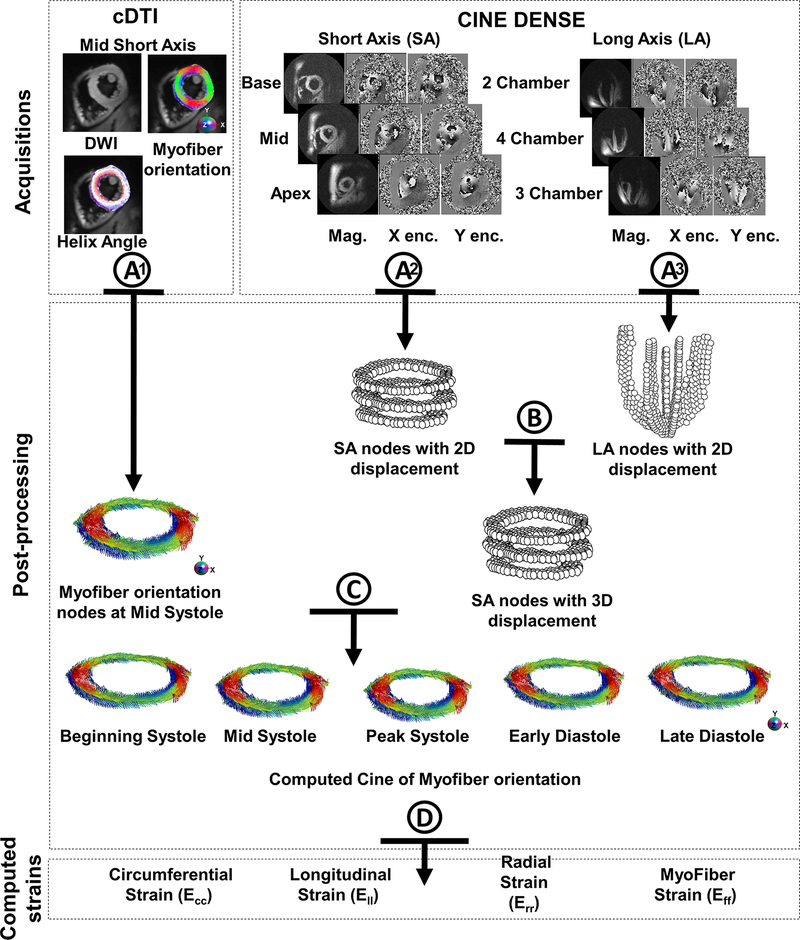 Figure 2: