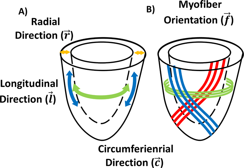 Figure 1: