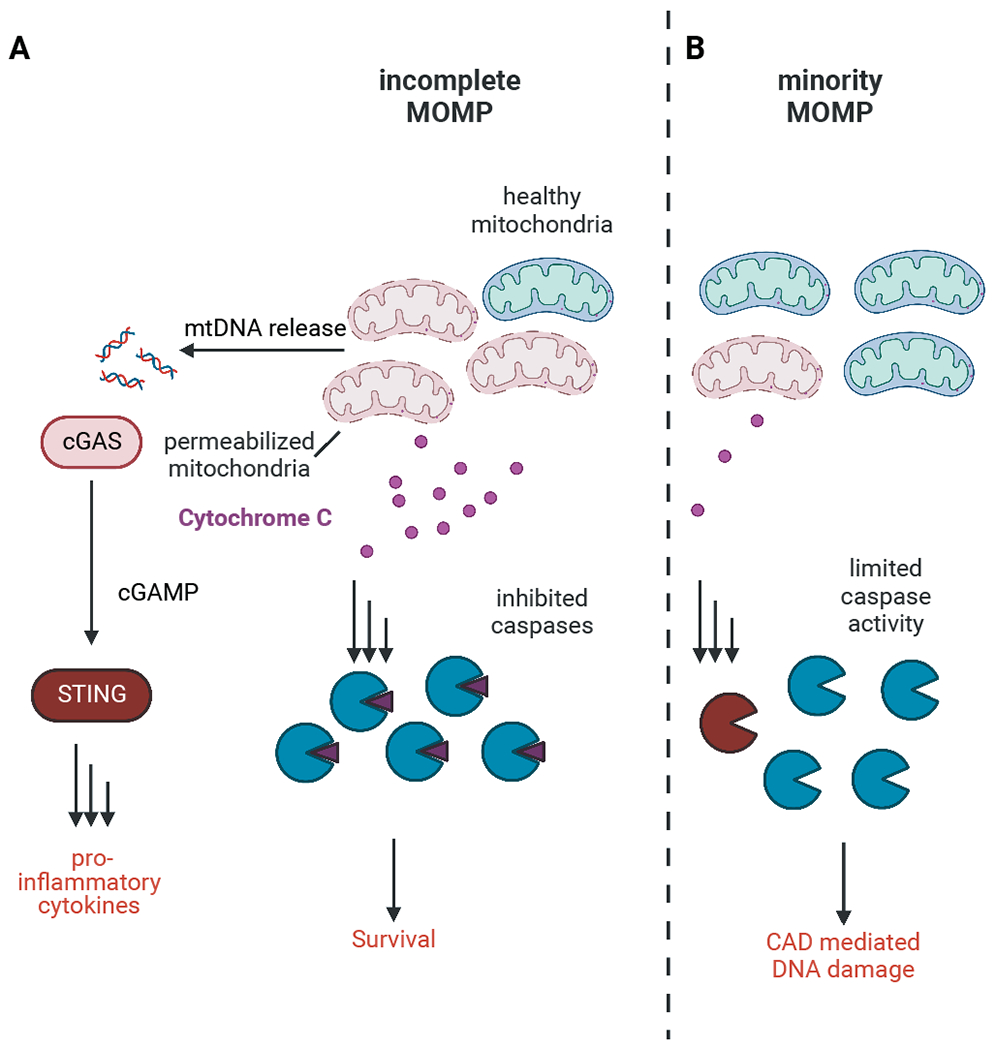 Figure 2: