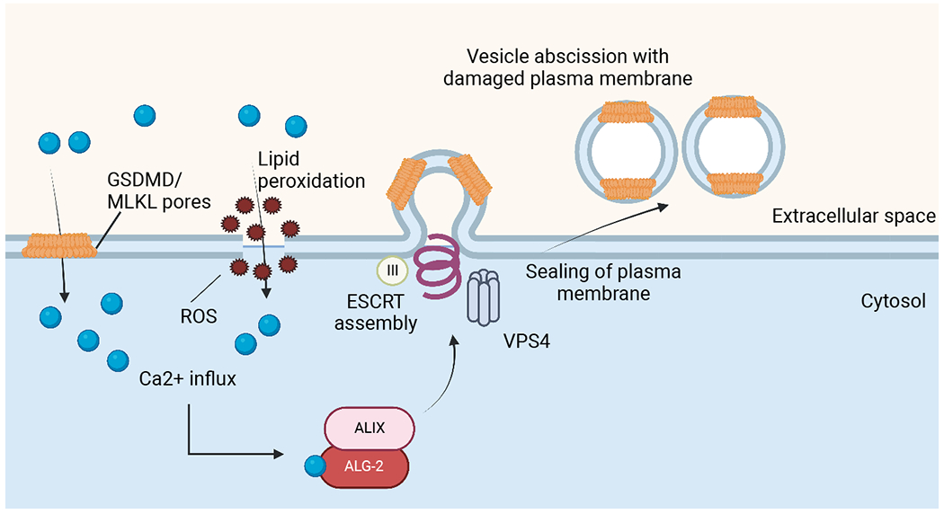 Figure 3: