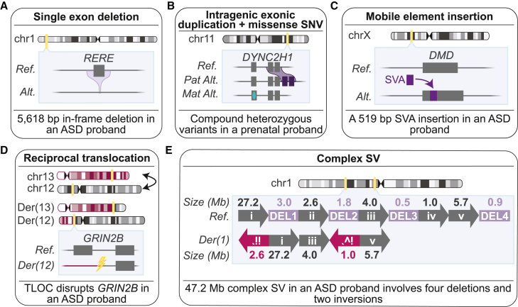 Figure 5