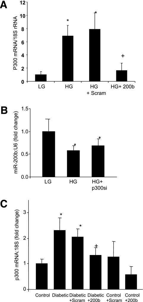 FIG. 5.