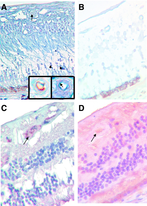 FIG. 6.