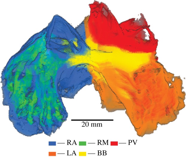 Figure 2.