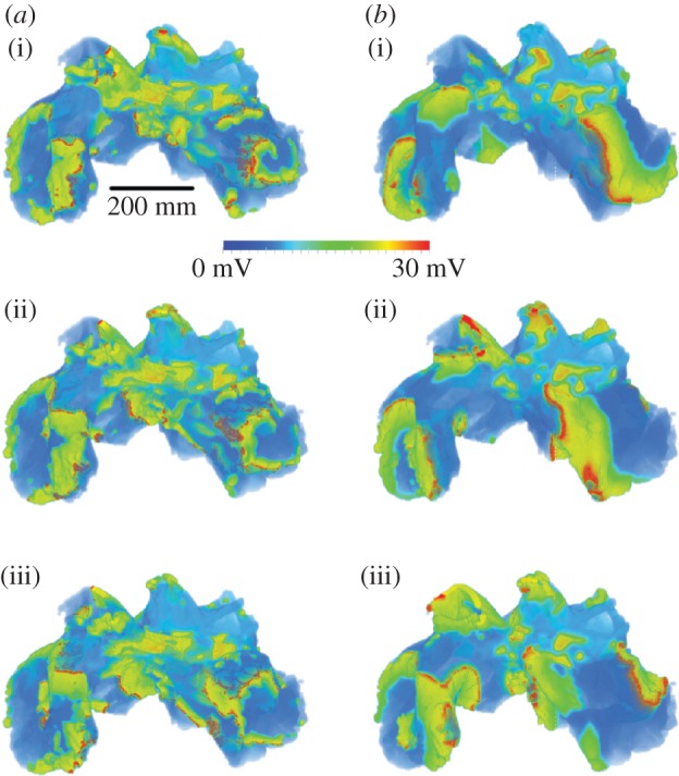 Figure 6.