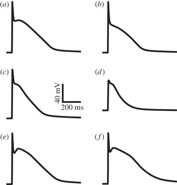 Figure 3.