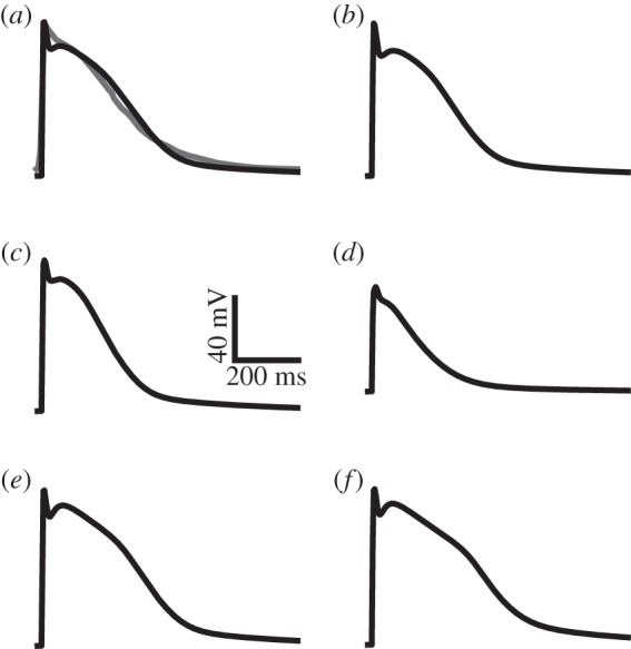 Figure 4.