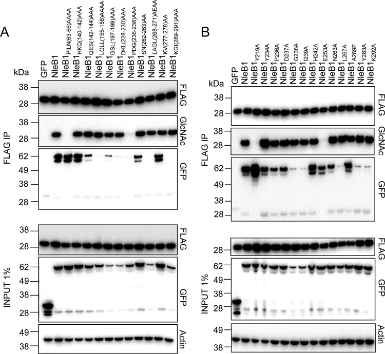 FIG 2