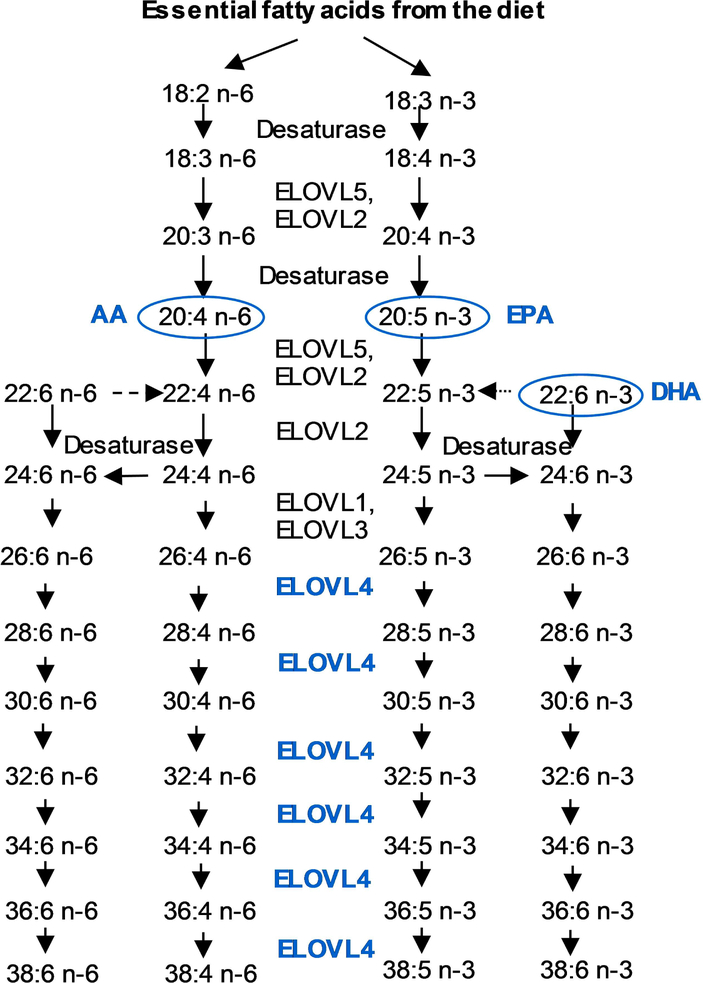 Figure 2: