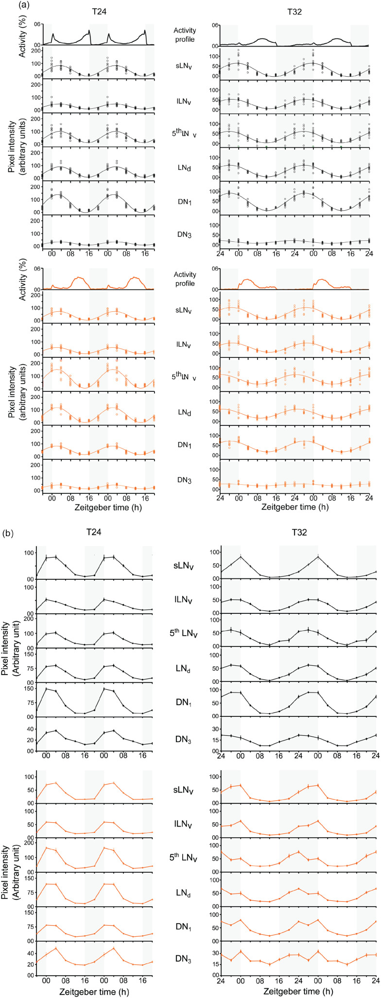 Figure 4.