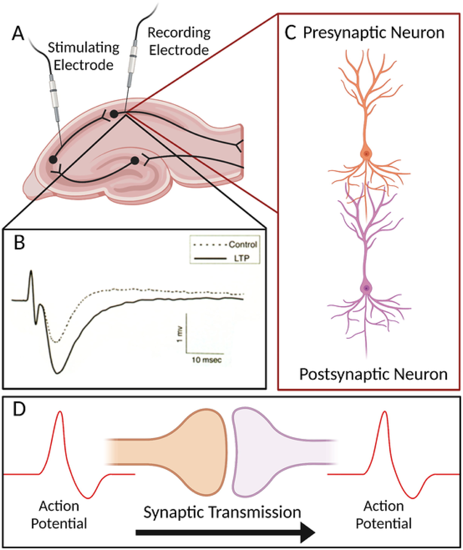 Fig. 2.