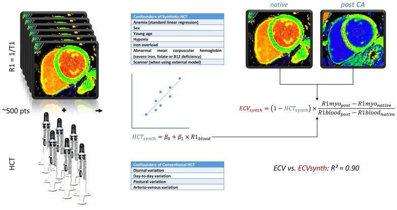 Graphical abstract