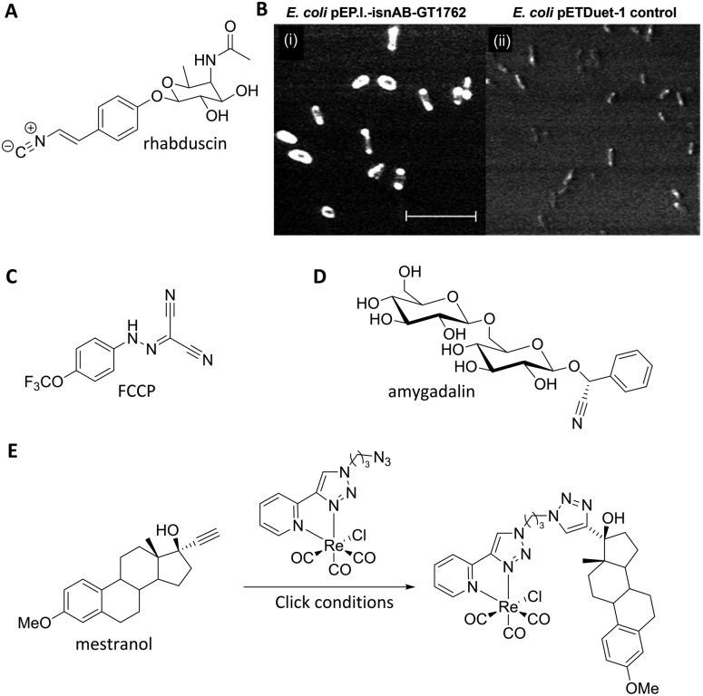 Fig. 11