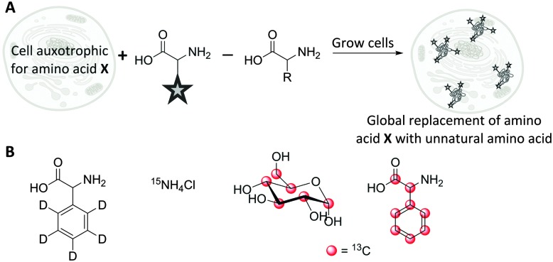 Fig. 12