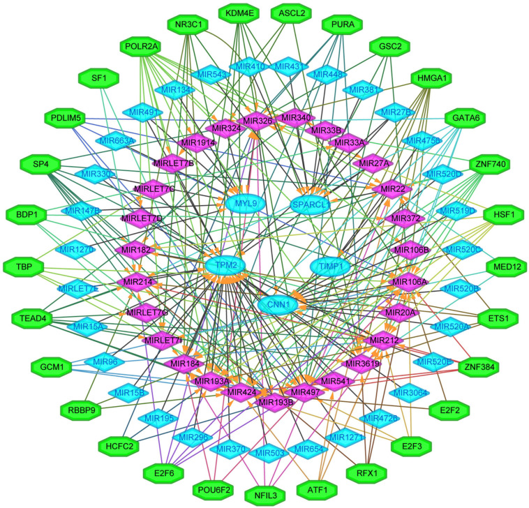 FIGURE 10