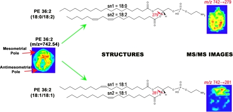 FIGURE 4.