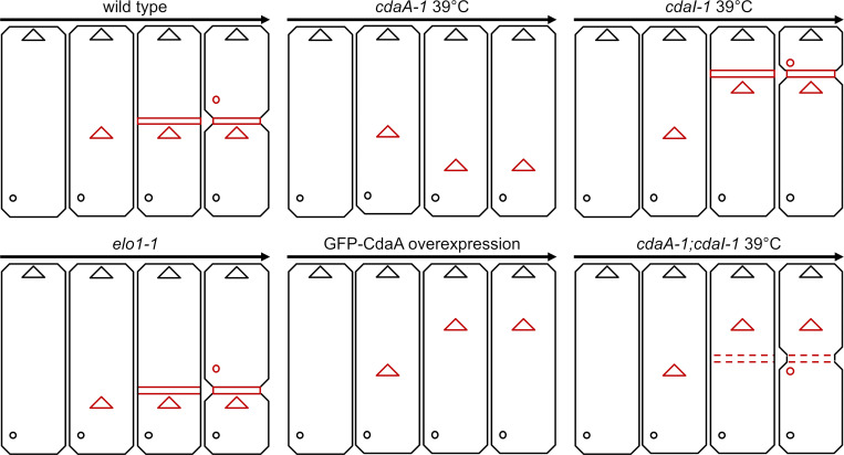 Figure 10.