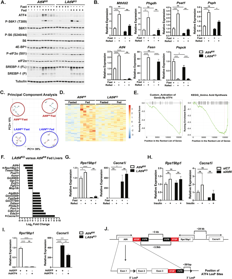 Figure 6