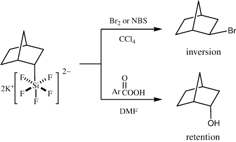 Scheme 5.