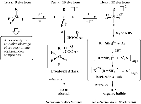 Scheme 6.