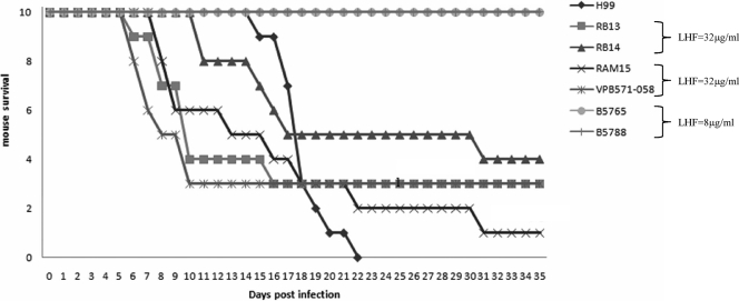 FIG. 6.