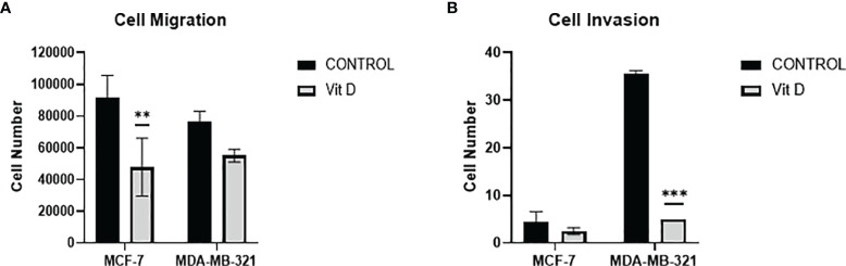 Figure 5