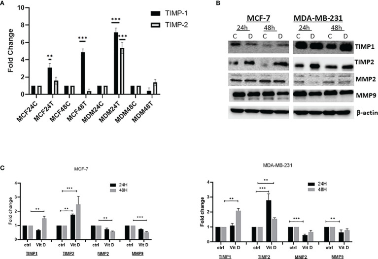 Figure 2