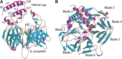 Figure 2.