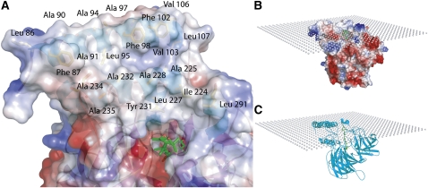 Figure 4.