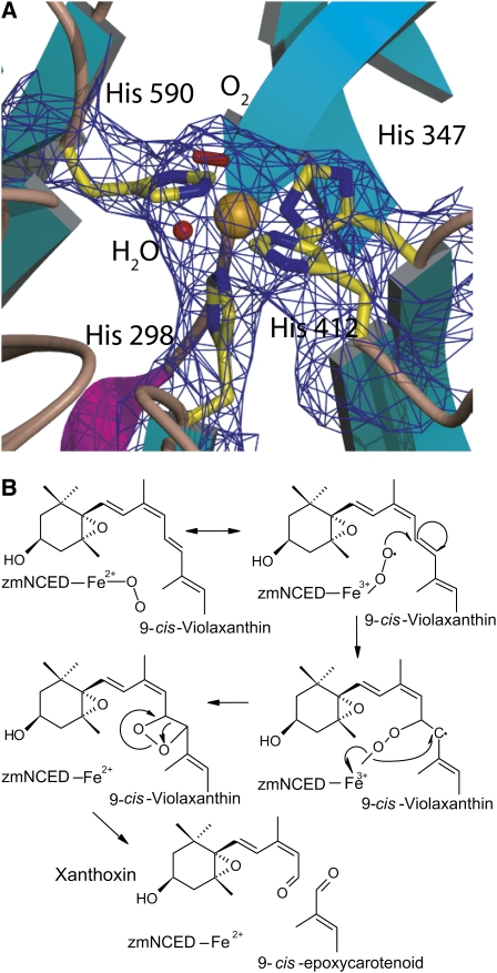 Figure 3.