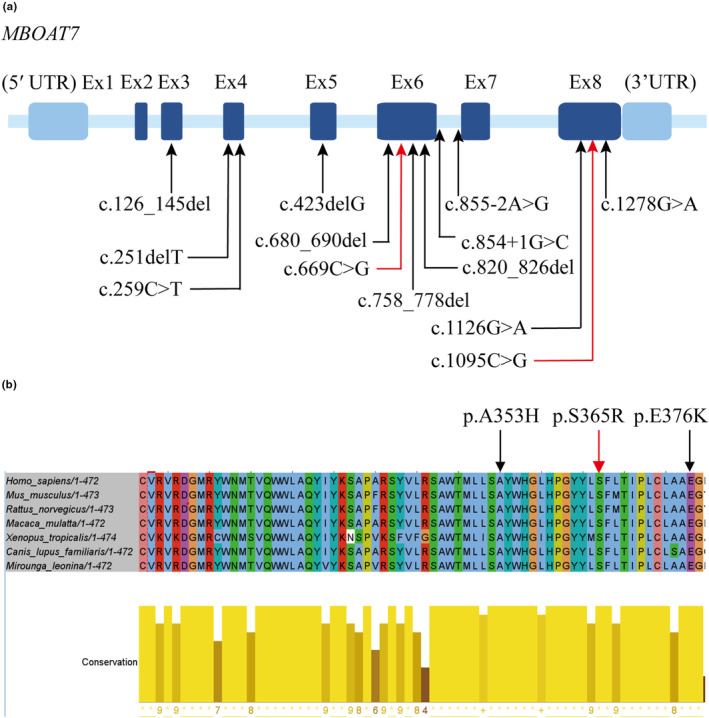 FIGURE 3