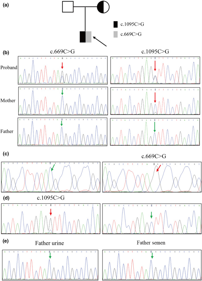 FIGURE 2