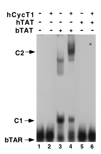 FIG. 5