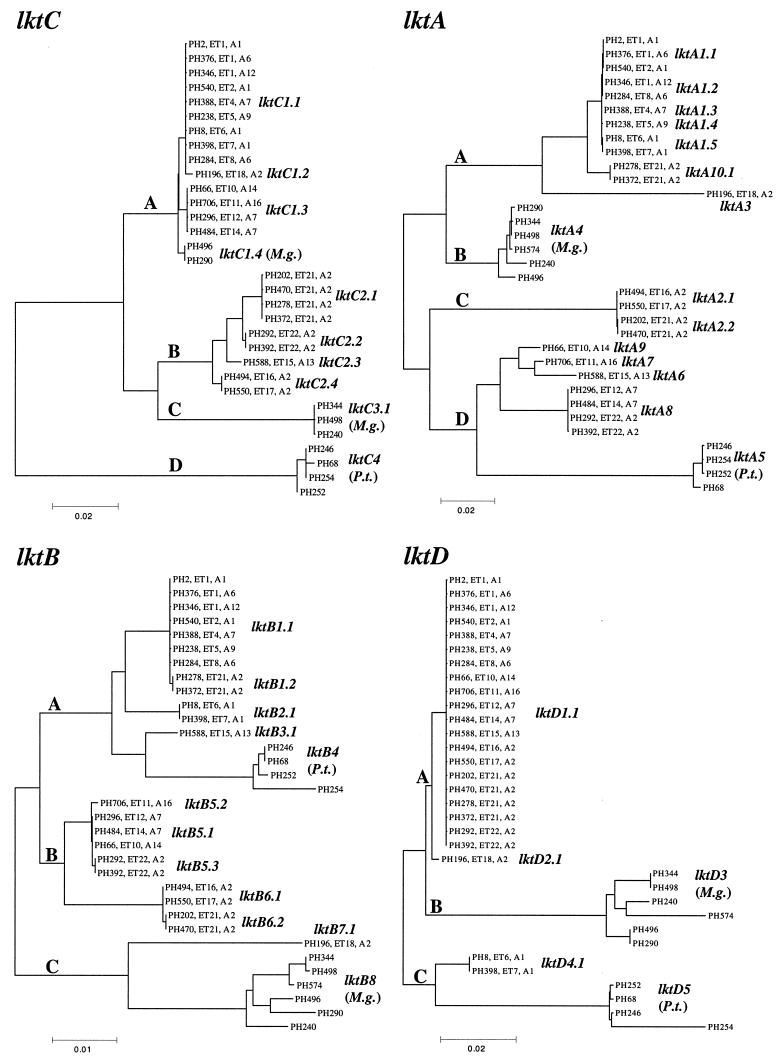 FIG. 5.