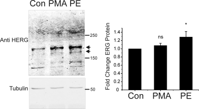 Fig. 9.