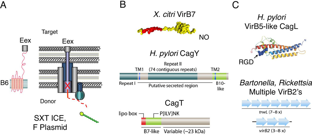 Fig. 11