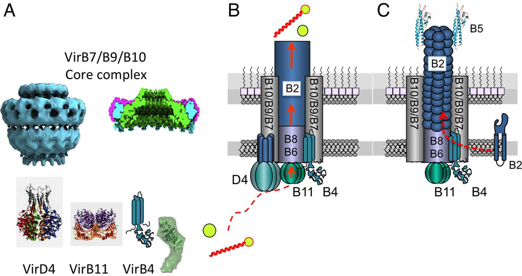 Fig. 10