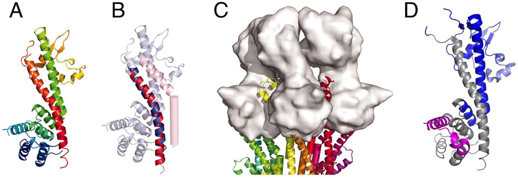 Fig. 8