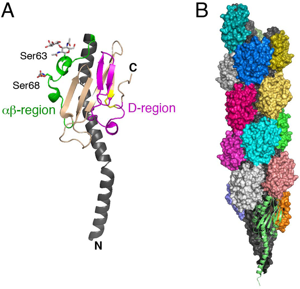 Fig. 6