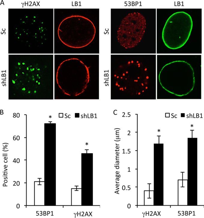 FIG 4