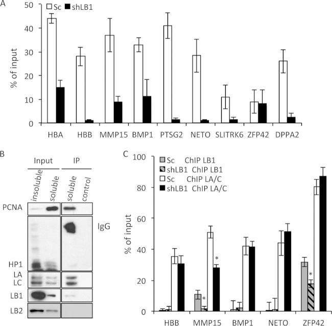 FIG 2