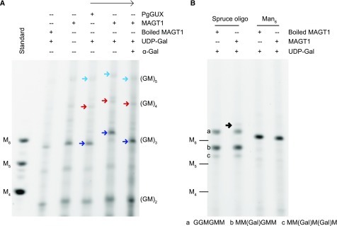 Figure 5.