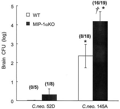 FIG. 8