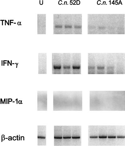 FIG. 5